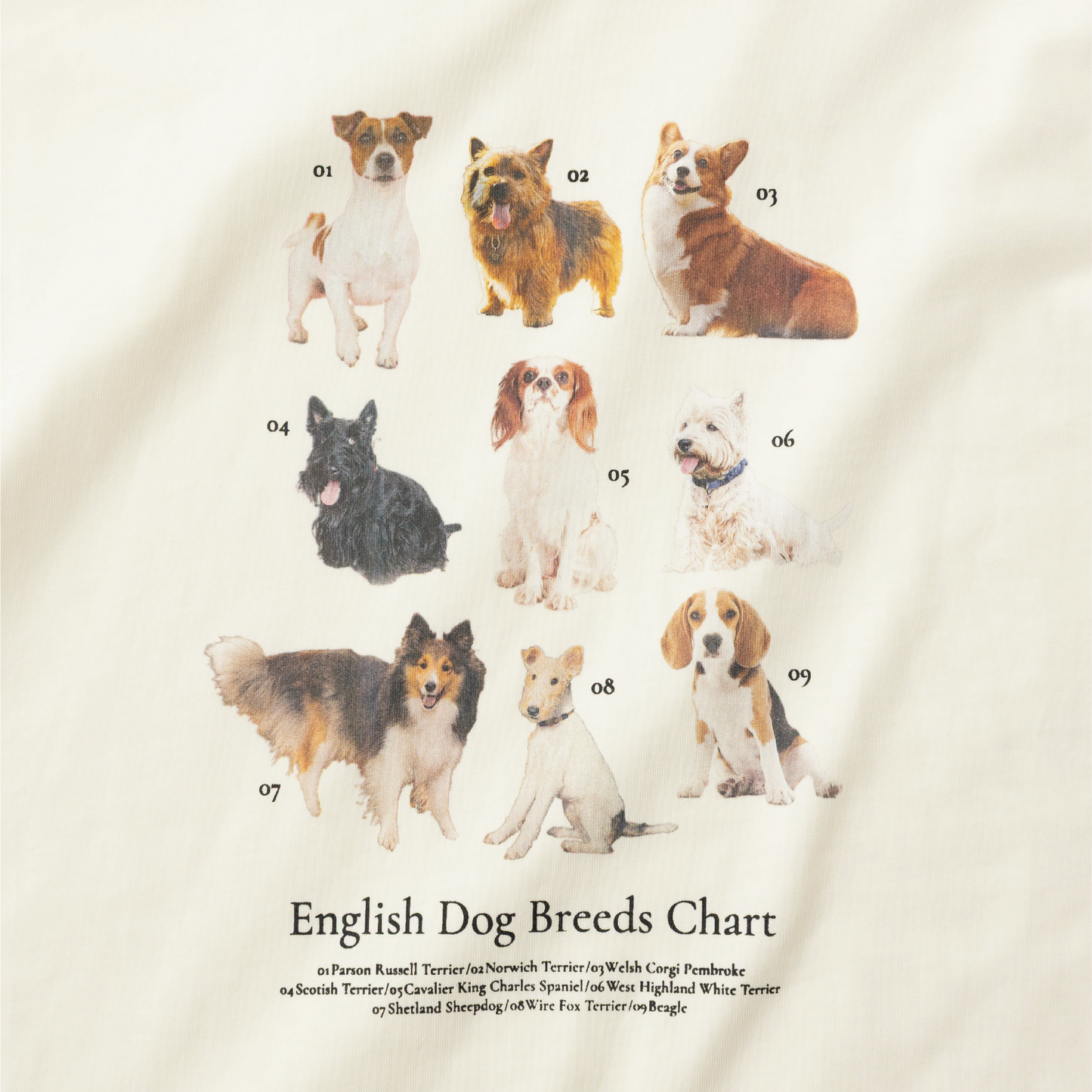 【再入荷】lalagom ブリティッシュドッグプリントTシャツ