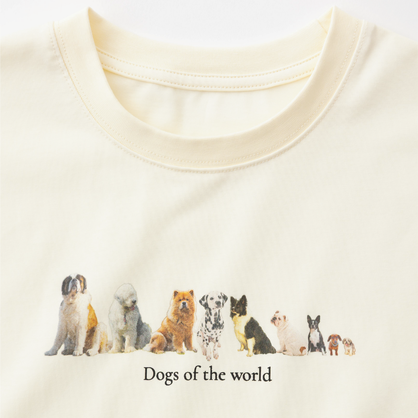【再入荷】lalagom ワールドドッグプリントTシャツ
